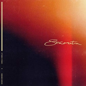 SHAWN MENDES & CAMILA CABELLO - SEÑORITA